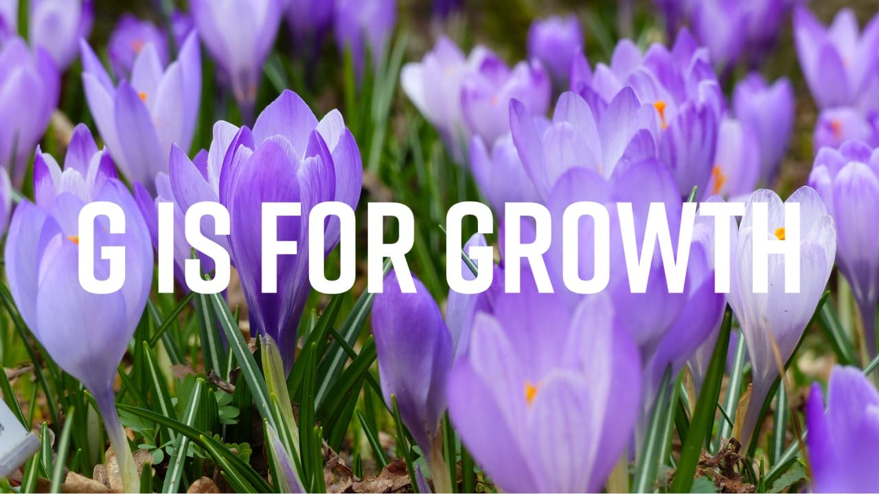 A Bridge to Growth
